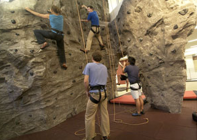 Custom Climbing Wall 1