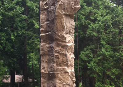 Custom Climbing Wall 13