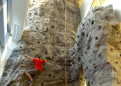 Custom Climbing Wall 14