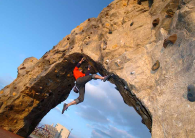 Custom Climbing Wall 9